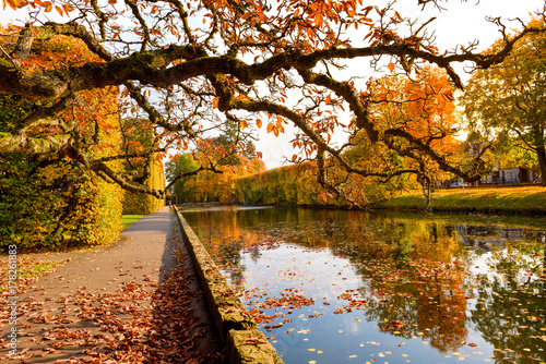 Pond in the Oliwski Park in sunny autumn day.