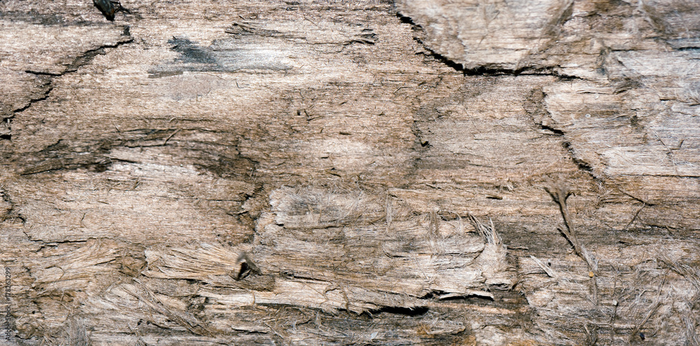 The panorama of front view of old grey wood background or texture. Copy space. Place for text. graphical resource The panorama of front view of old grey wood background or texture. Copy space. Place for text. graphical resource