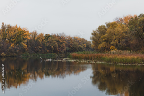 Panoramic landscape with forest lake in autumn