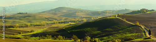 Wavy fields in Tuscany at sunset  Italy. Panoramic view. Natural outdoor seasonal autumn background.