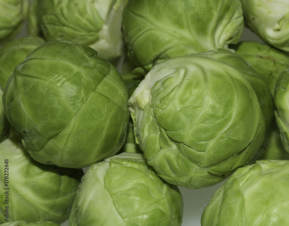 Sprouts in isolation Sprouts in isolation