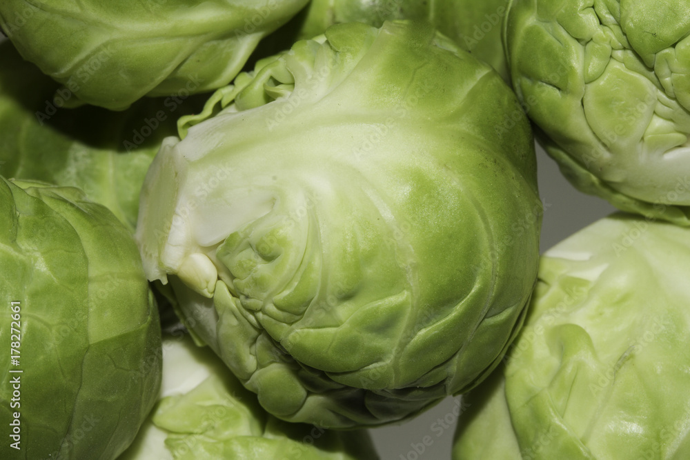 Fototapeta premium Sprouts in isolation