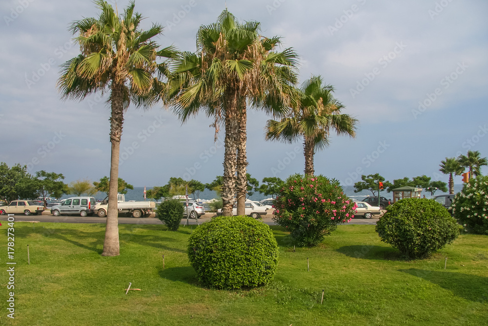 Fototapeta premium Coastal highway in the city of Antalya