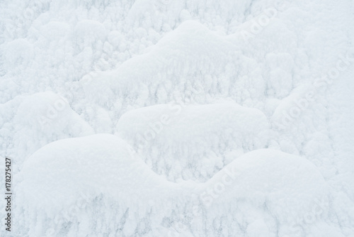 Fototapeta Naklejka Na Ścianę i Meble -  Winter rime texture