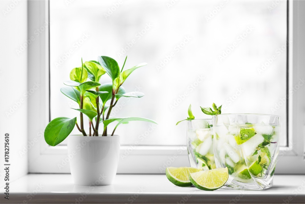 Obraz premium Mojito.