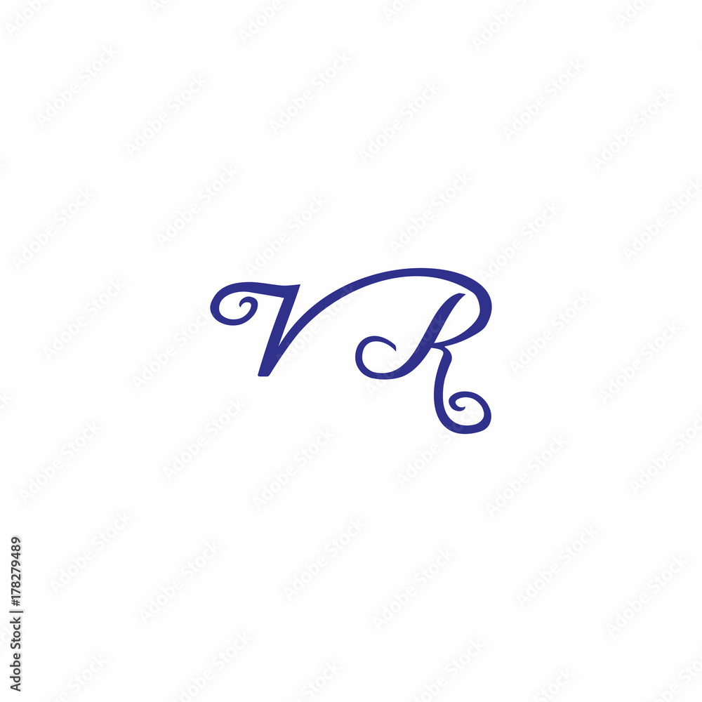 VR Letter Logo VR Letter Logo