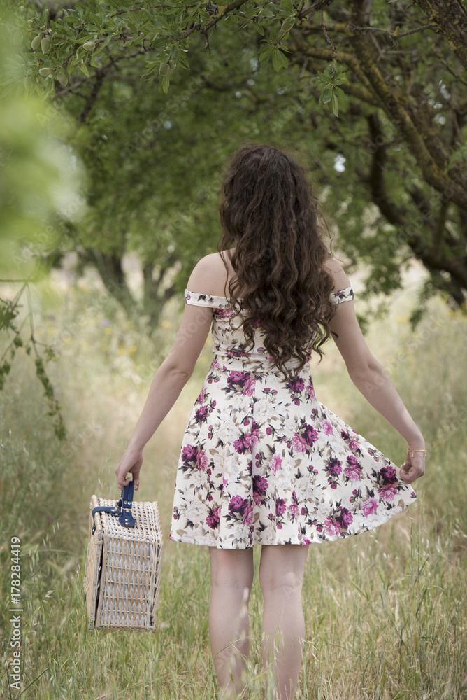 retro picnic basket Stock Photo 