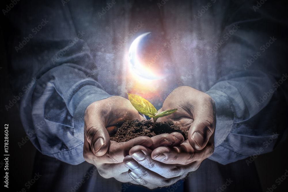 Birth of new life Stock Photo Adobe Stock
