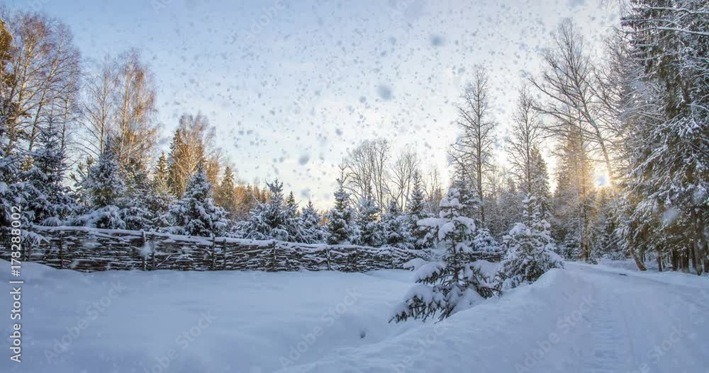CINEMAGRAPH, 4k, falling snow in the winter forest, loop CINEMAGRAPH, 4k, falling snow in the winter forest, loop
