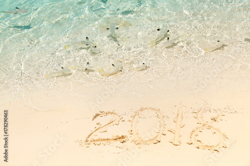 2018 inscription written on sandy beach with swimming fish in the water, Xmas festive concept