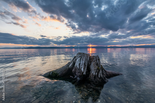 Stump in the water of Lake Hovsgol photo