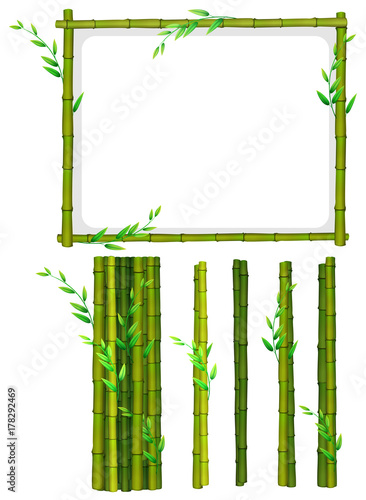 Green bamboo frame and sticks