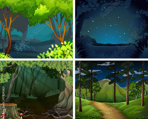 Four scenes of forest at night