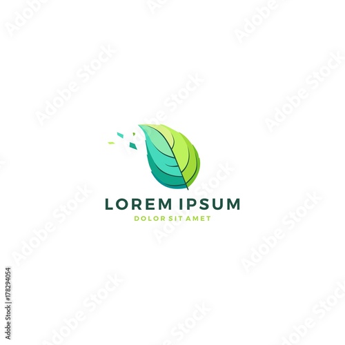 geometric leaf herb vibrant ornament green garden flower basil arugula thyme rosemary sage parsley coriander oregano logo vector icon template