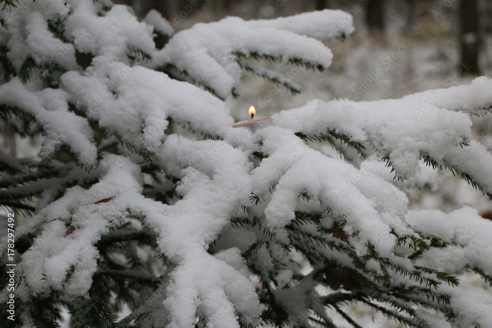 Christmas tree in the forest covered with snow with burning candles on the branches