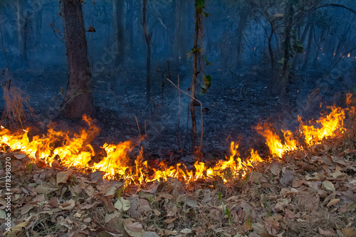 wildfire on mountain in thailand