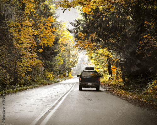 Fall in Valley