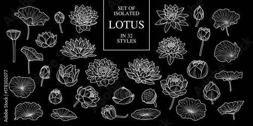Set of isolated lotus in 32 styles. Cute hand drawn flower vector illustration only white outline.
