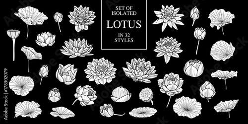 Set of isolated white silhouette lotus in 32 styles .Cute hand drawn flower vector illustration in white plane and no outline.