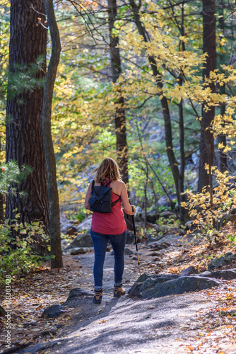 woman hiking in the woods in autumn © David Prahl