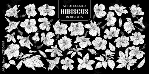 Set of isolated white silhouette hibiscus in 40 styles .Cute hand drawn flower vector illustration in white plane and no outline on black background.