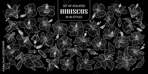 Set of isolated hibiscus in 40 styles. Cute hand drawn flower vector illustration only white outline on black background.