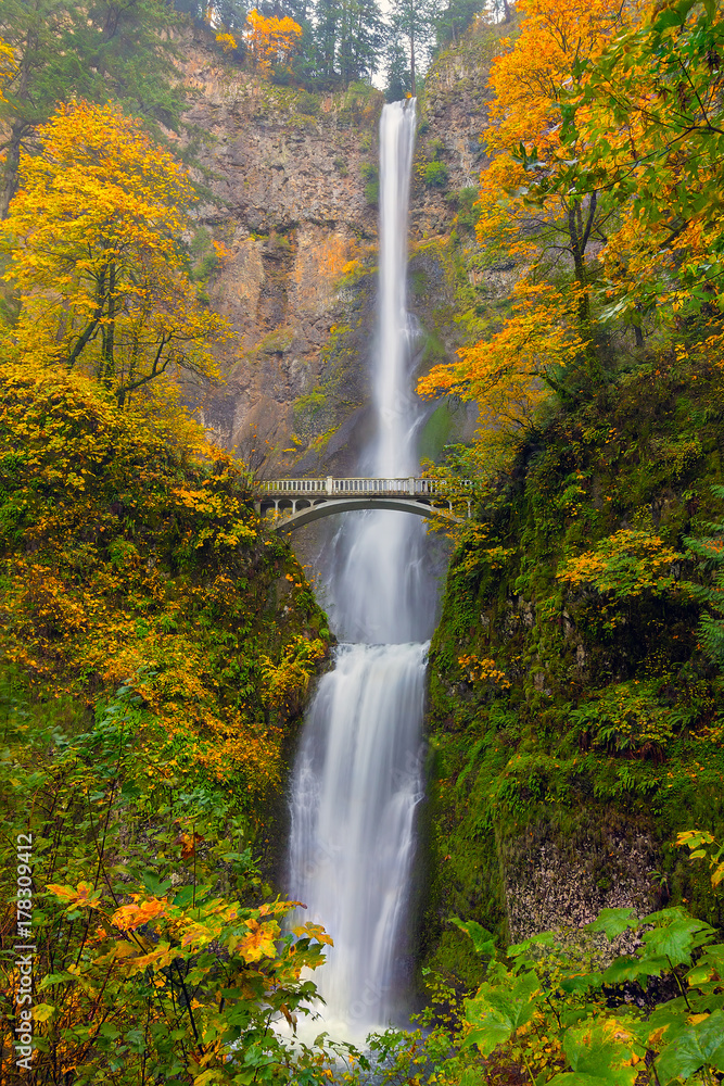 Fototapeta premium Multnomah Falls in Fall Season Colors