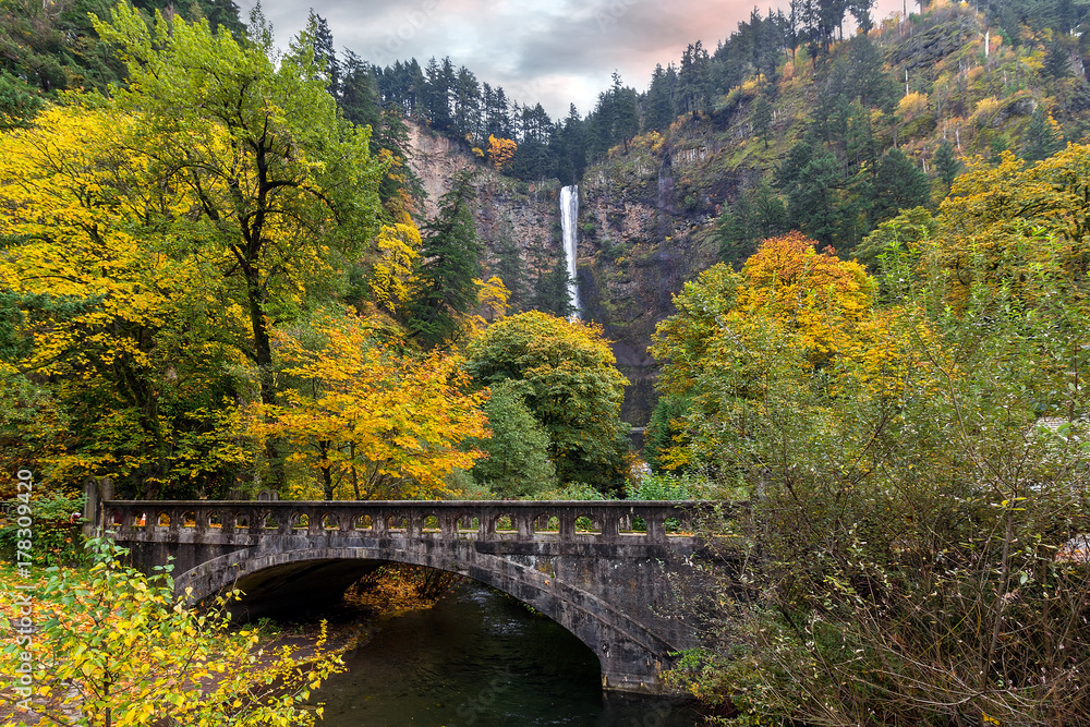 Fototapeta premium Multnomah Falls along Old Columbia Highway