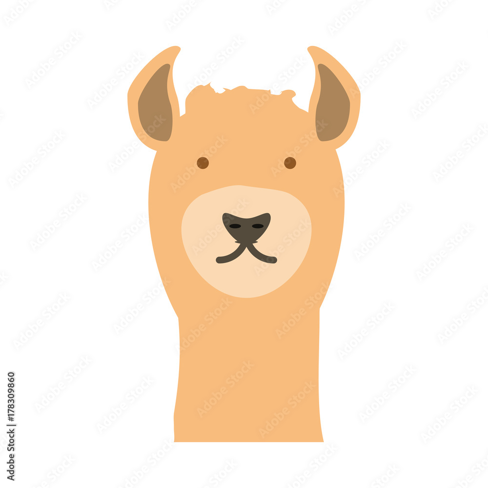 Naklejka premium cartoon alpaca icon