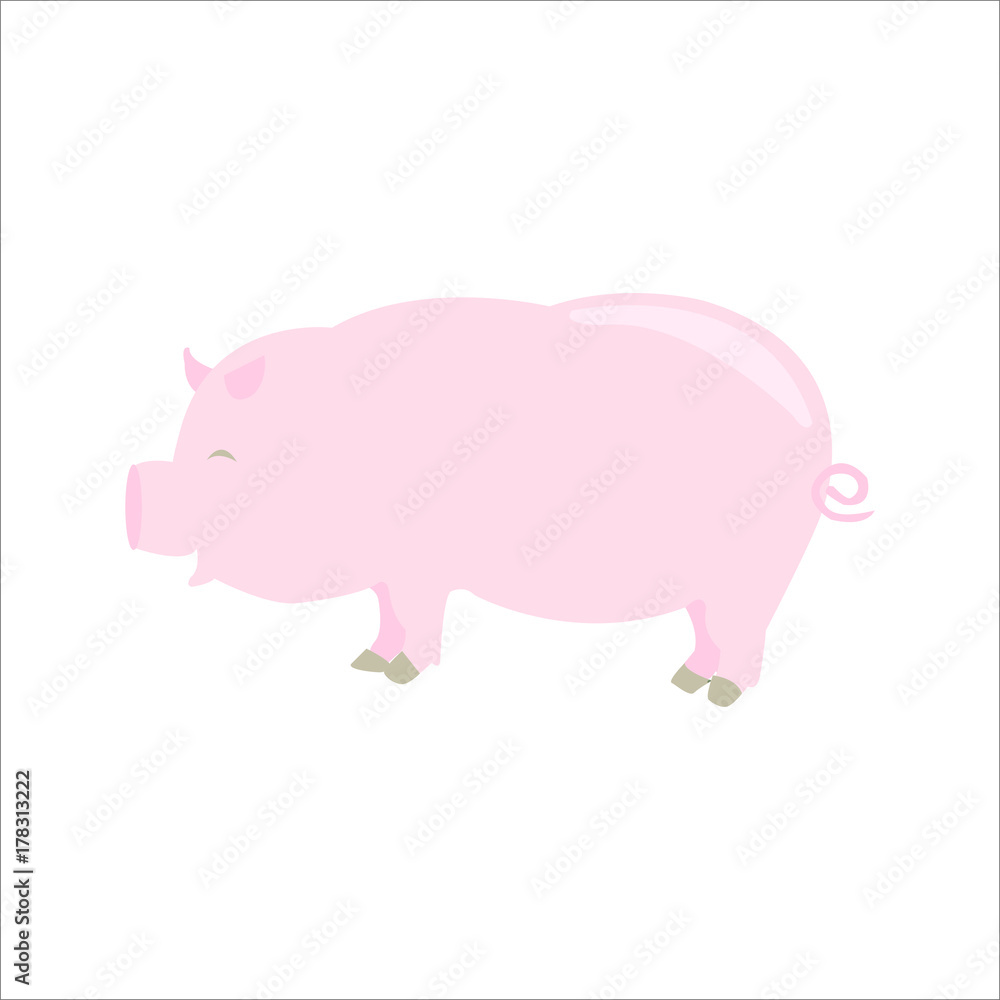 pig pig