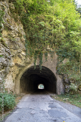 Fototapeta Naklejka Na Ścianę i Meble -  car tunnel in the mountain overgrown with green vegetation, grass and trees