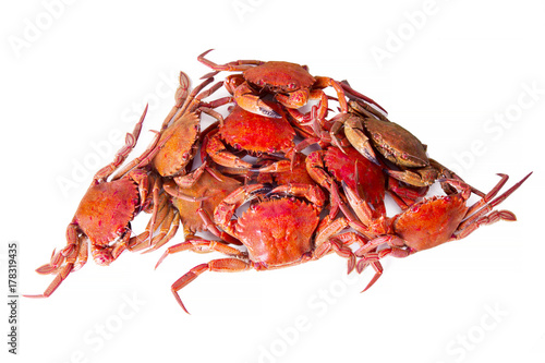 seafood, crabs isolated on white