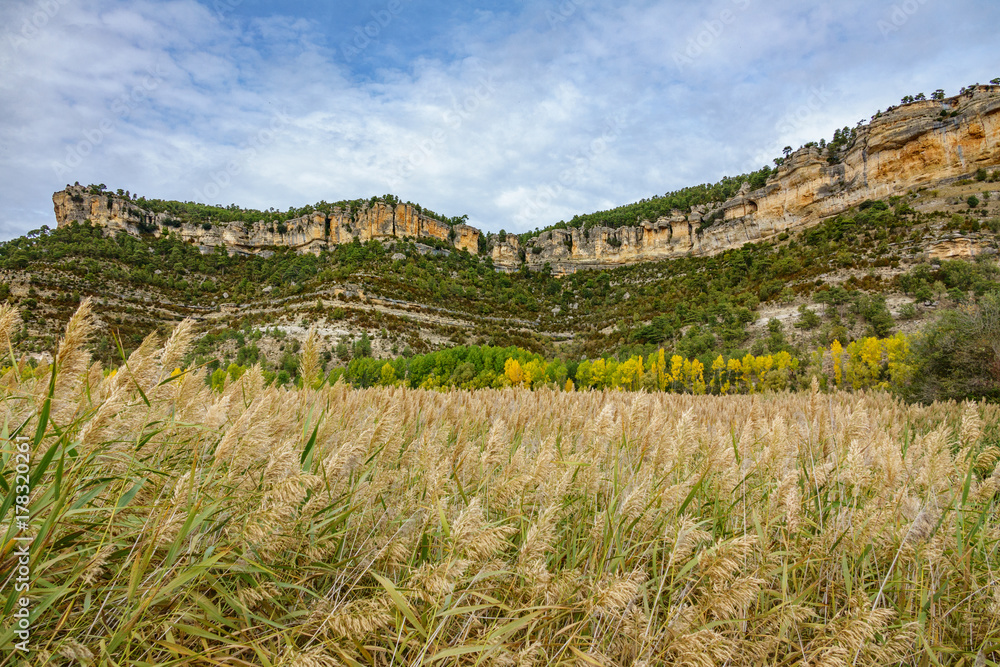 Autunm landscape in Cuenca with rock formations, wide angle