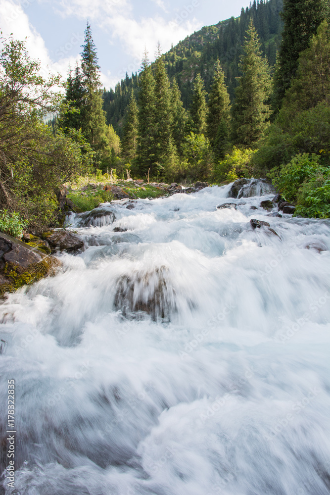 Obraz premium River and forest in mountains