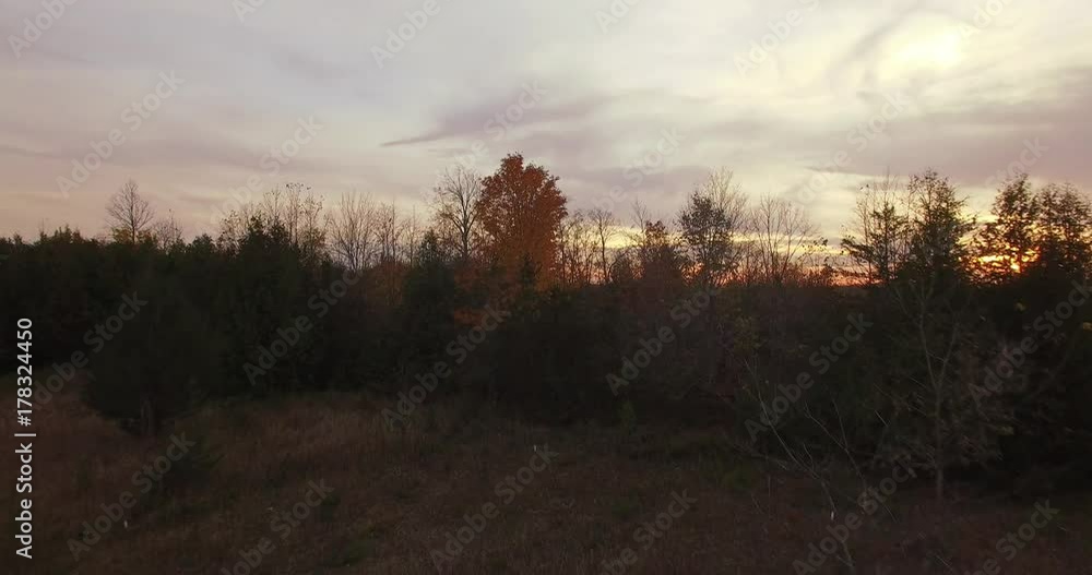 Flyover of forest to reveal golden and red sunset in rural town. Flyover of forest to reveal golden and red sunset in rural town.