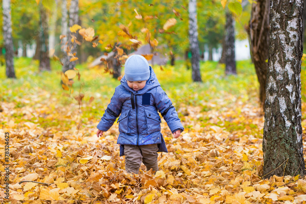 Little child boy 1 years old walks in the park on fallen colorful leaves in autumn day Little child boy 1 years old walks in the park on fallen colorful leaves in autumn day