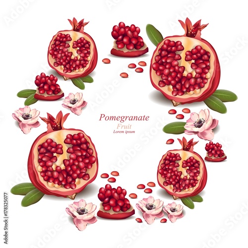 Pomegranate realistic Vector background with place for texts