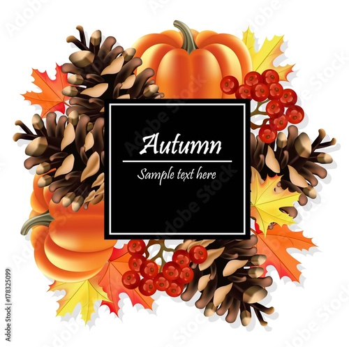 Autumn card background. Pumpkin and colorful leaves Vector