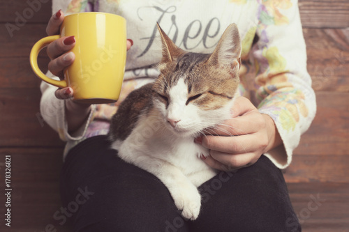 Fototapeta Naklejka Na Ścianę i Meble -  cat lies on the lap of a girl