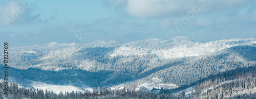 Winter Carpathian Mountains landscape.