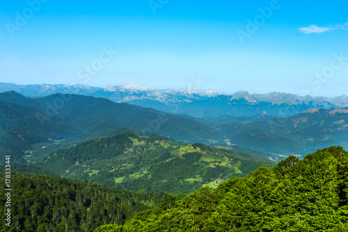 Fototapeta Naklejka Na Ścianę i Meble -  View of mountain peaks and forests. Mountain valley and forest top view