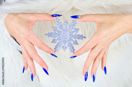 Εκτύπωση καμβά Christmas blue nails