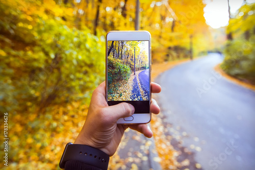 Man taking picture of yellow foliage in the forest, landscape in autumn with phone