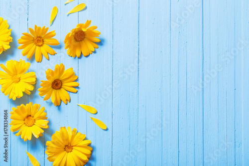 Fototapeta Naklejka Na Ścianę i Meble -  calendula flowers on blue wooden background