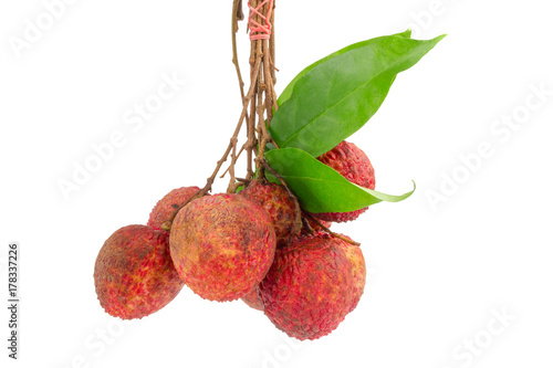 Fresh lychees hand hold isolated on white background