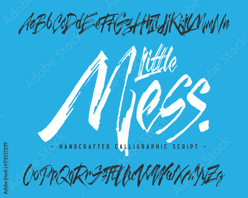 Handcrafted vector calligraphic script font. Dirty brush alphabet set.