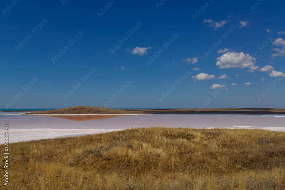 Dried salt lake. The water in the lake is pink. View from a low hill. Horizontal Dried salt lake. The water in the lake is pink. View from a low hill. Horizontal