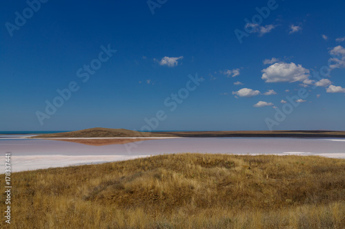 Dried salt lake. The water in the lake is pink. View from a low hill. Horizontal