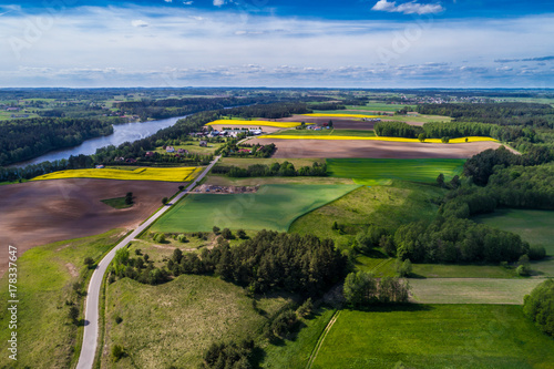 Yellow fields