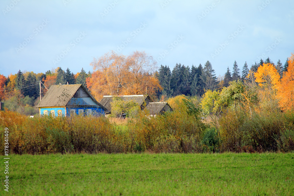 осень в деревне осень в деревне